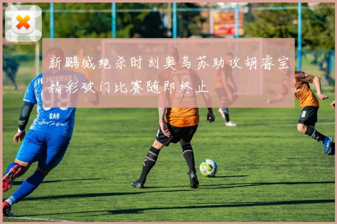 新鹏城绝杀时刻奥乌苏助攻胡睿宝精彩破门比赛随即终止