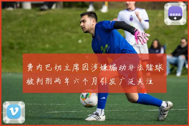 费内巴切主席因涉嫌煽动非法赌球被判刑两年六个月引发广泛关注
