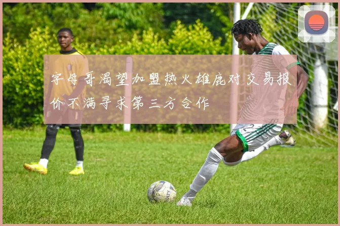字母哥渴望加盟热火雄鹿对交易报价不满寻求第三方合作