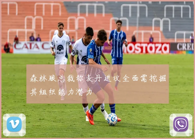 森林狼总裁称麦丹进攻全面需挖掘其组织能力潜力